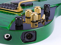 Moog Guitar